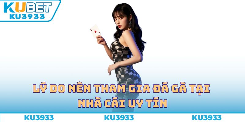 Lý do nên tham gia đá gà tại nhà cái uy tín