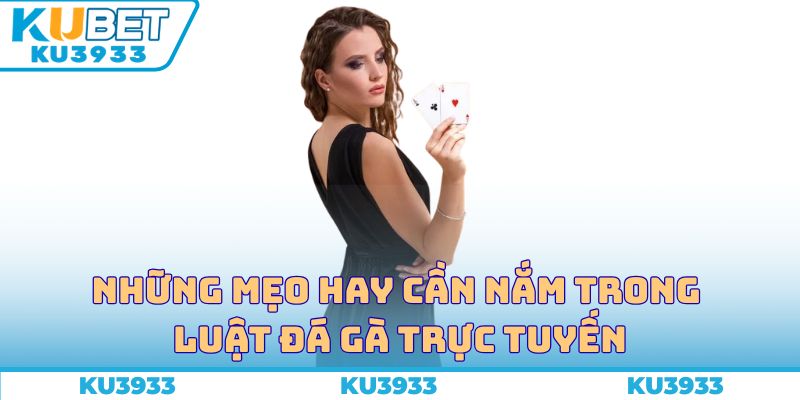 Những mẹo hay cần nắm trong luật đá gà trực tuyến
